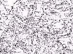 carte de Cassini