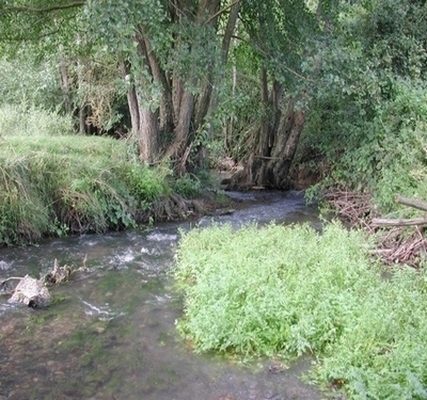 Valle de la Dme