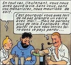 Les remerciements de Tintin