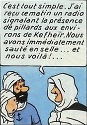 La rapide intervention