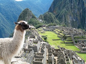 La cit de  Machu-Picchu