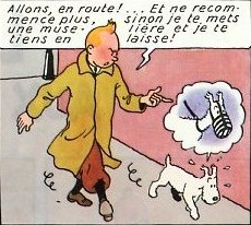 Milou, un chien sous surveillance !