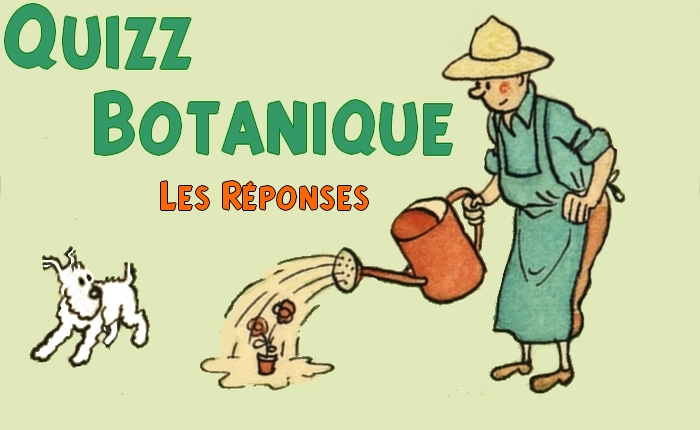 titre quizz botanique