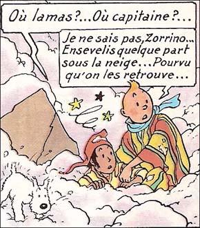Zorrino et Tintin l'avalanche