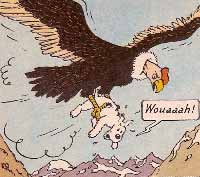 condor